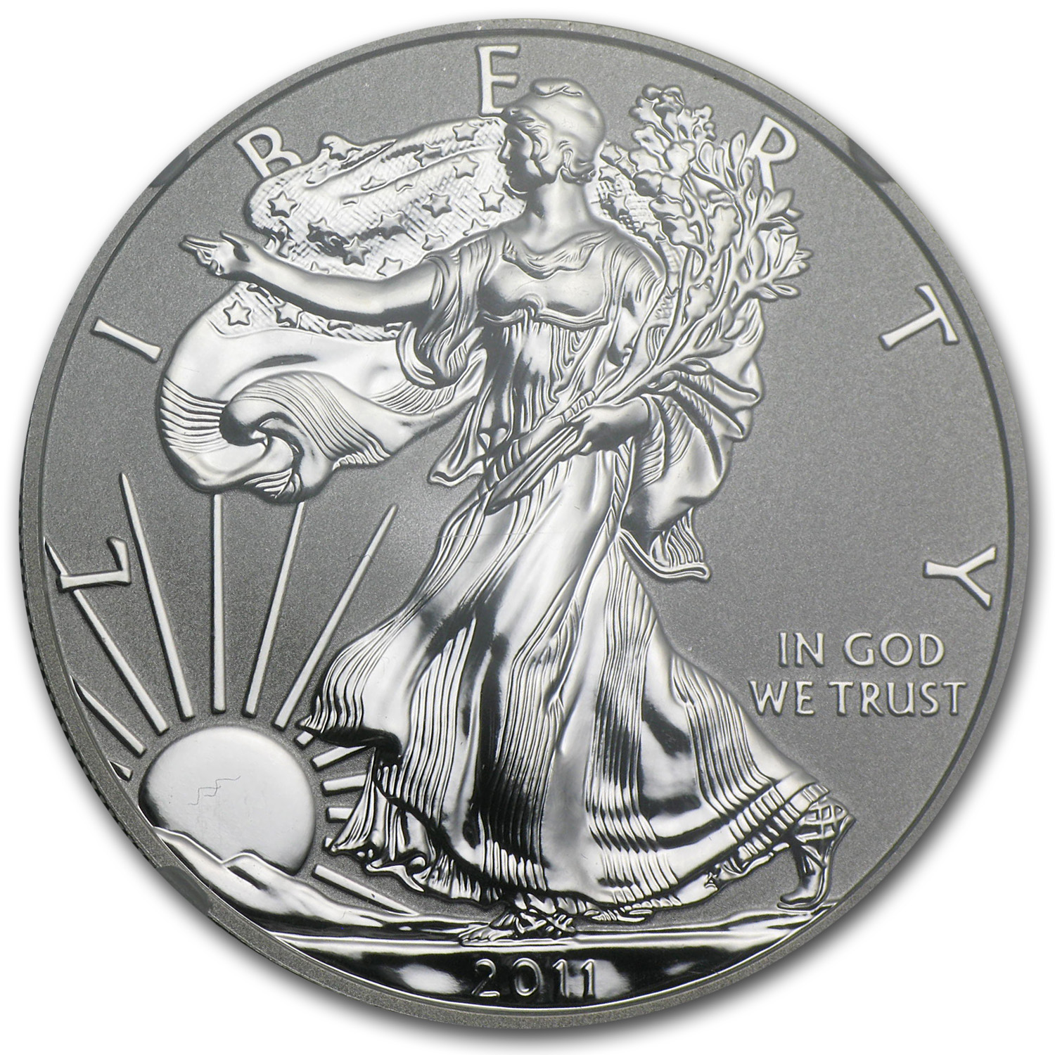 アンティークコイン 銀貨 2022 S 1 oz Proof American Silver Eagle PF