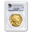 2013 1 oz Gold Buffalo MS-69 PCGS (First Strike)