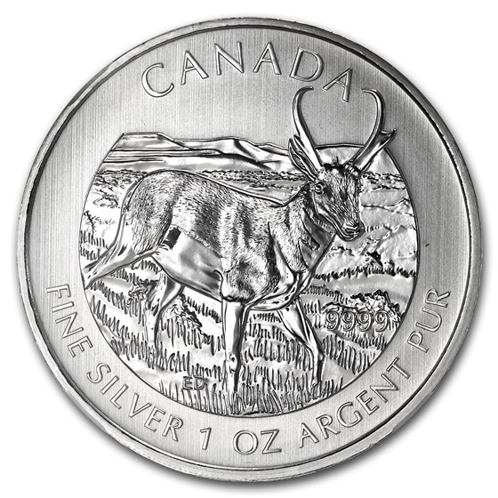 Buy 2013 Canada 1 oz Silver Wildlife Series Antelope MS-69 NGC | APMEX