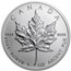 2013 Canada 500-Coin Silver Maple Leaf Monster Box (Sealed)