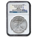 2013 (S) American Silver Eagle MS-69 NGC (Early Releases)