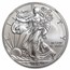 2013-W Burnished American Silver Eagle MS-70 NGC (ER)
