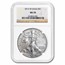 2013-W Burnished American Silver Eagle MS-70 NGC