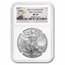 2013-W Burnished Silver Eagle MS-70 NGC (FR/ER)