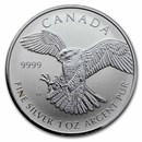 2014-2016 RCM 1 oz Silver Birds of Prey Series (Random)