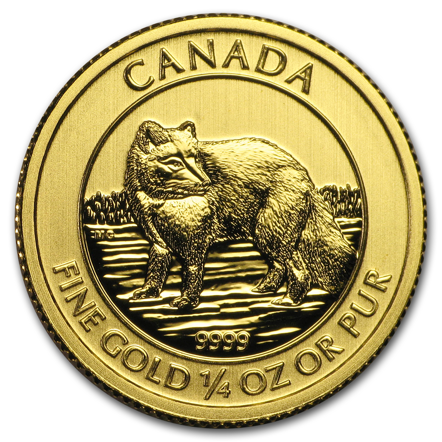 Buy 2014 Canada 1 4 Oz Gold Arctic Fox BU APMEX   2014 Canada 1 4 Oz Gold Arctic Fox Bu 104222 Obv 