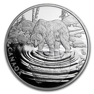 Buy 2016 Canada 1/2 oz Proof Silver Reflections $10 Grizzly Bear | APMEX