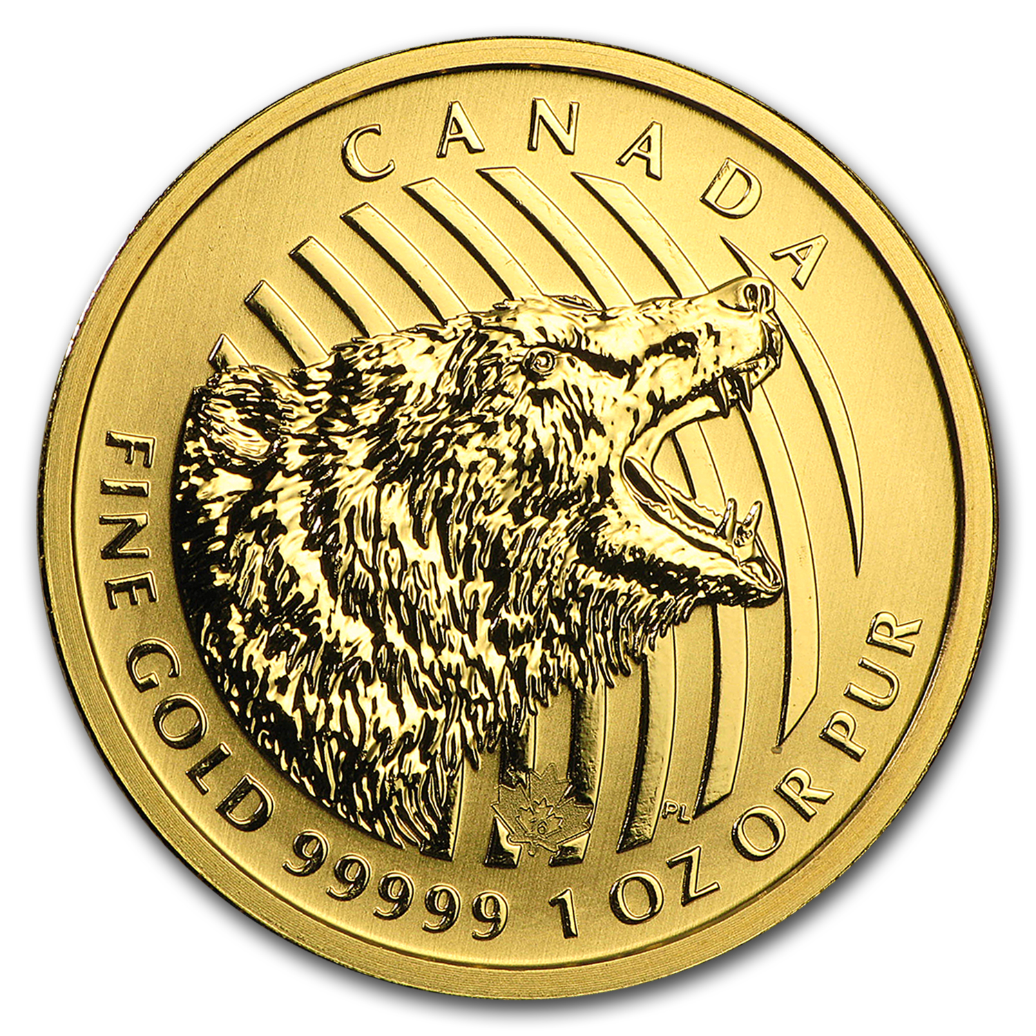 Buy 2016 Canada 1 Oz Roaring Grizzly Bear Gold BU | APMEX