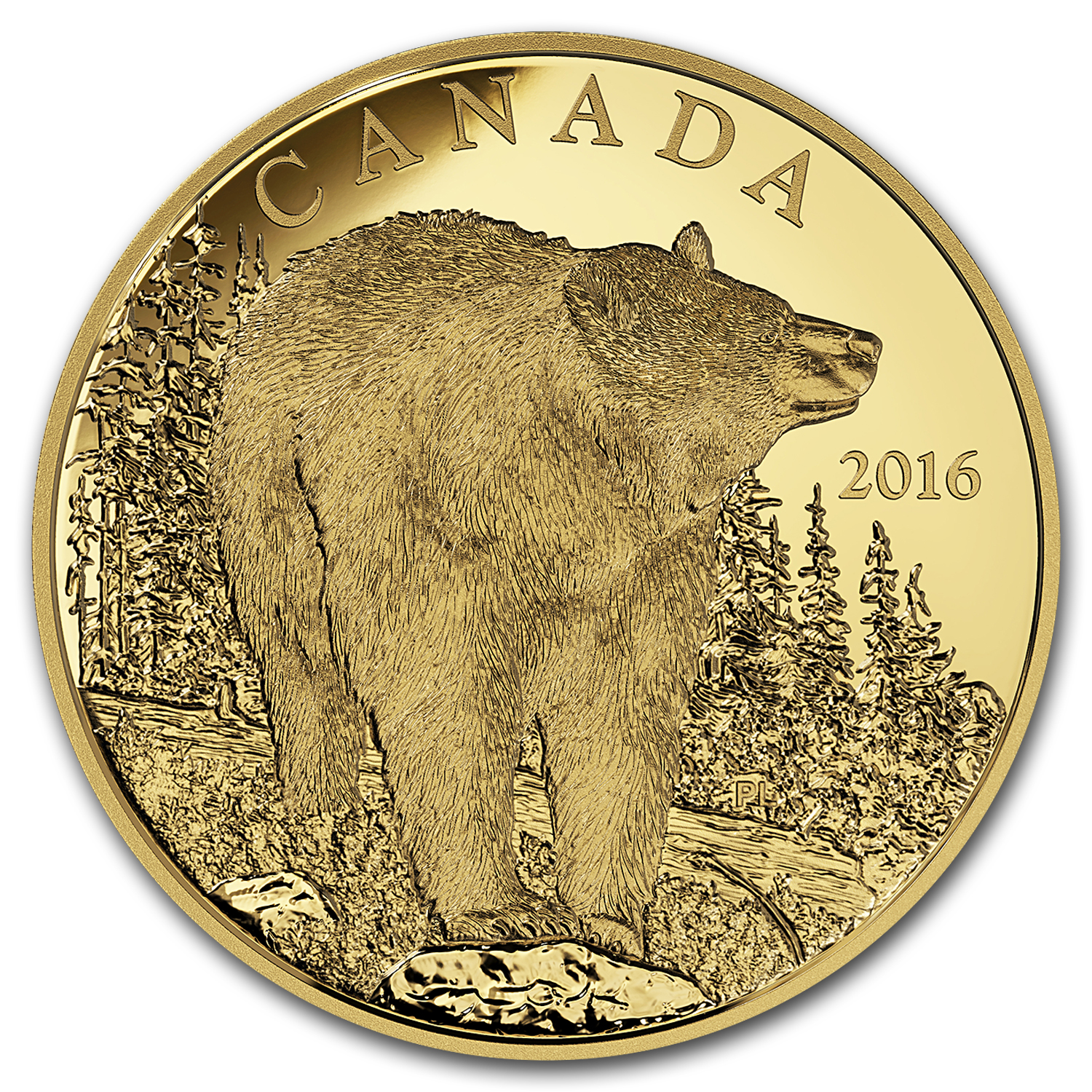 Buy 2016 Canada 1 Oz Proof Gold $350 Bold Black Bear | APMEX