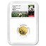2016 China 3 gram Gold Panda MS-70 NGC (Early Releases)