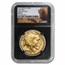2017 1 oz Gold Buffalo MS-70 NGC (First Releases)