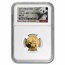 2017 China 5-Coin Gold Panda Set MS-70 NGC (First Day of Issue)