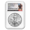2017-W Burnished Silver Eagle MS-70 NGC (Early Releases)