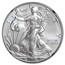 2018-W Burnished Silver Eagle MS-70 NGC (FDI)