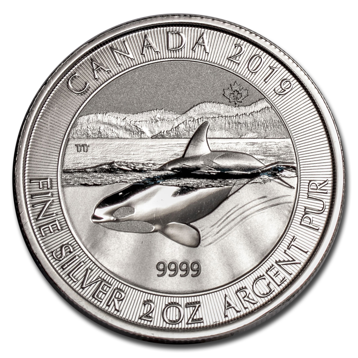 Buy 2019 Canada 2 oz Silver Orca Whale BU | APMEX