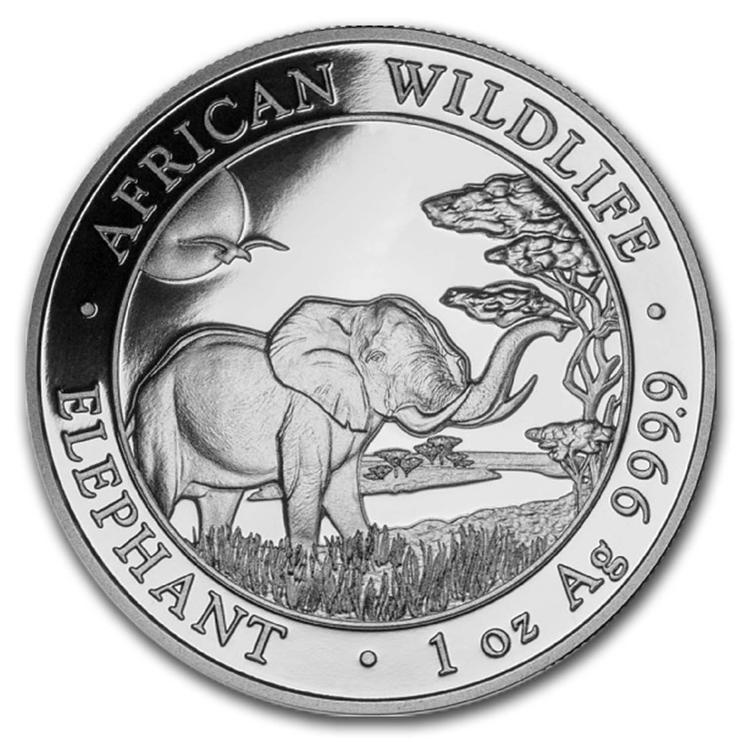 魅力的な価格 金貨 銀貨 9516 Elephant Silver Ounce 1 Somali アンティークコイン シルバー その他 Labelians Fr