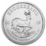 2019 South Africa 1 oz Silver Krugerrand 25-Coin MintDirect® Tube