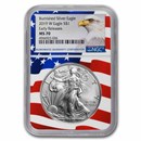 2019-W Burnished Silver Eagle MS-70 NGC (Early Releases)