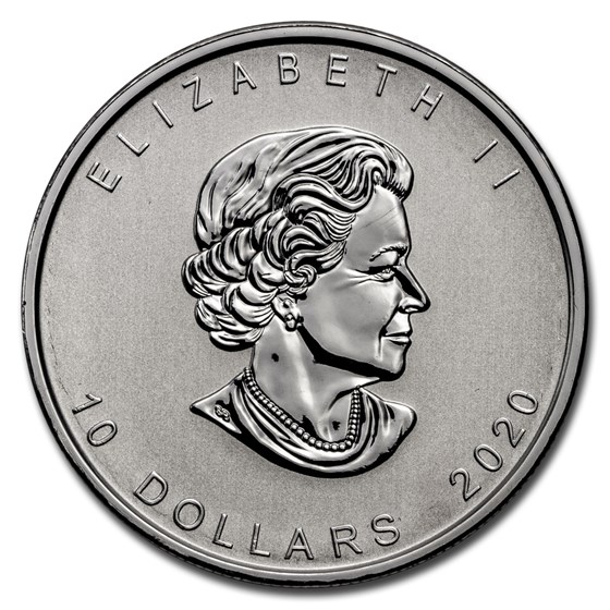 Buy 2020 Canada 2 oz $10 Silver Canadian Goose (Abrasions) | APMEX