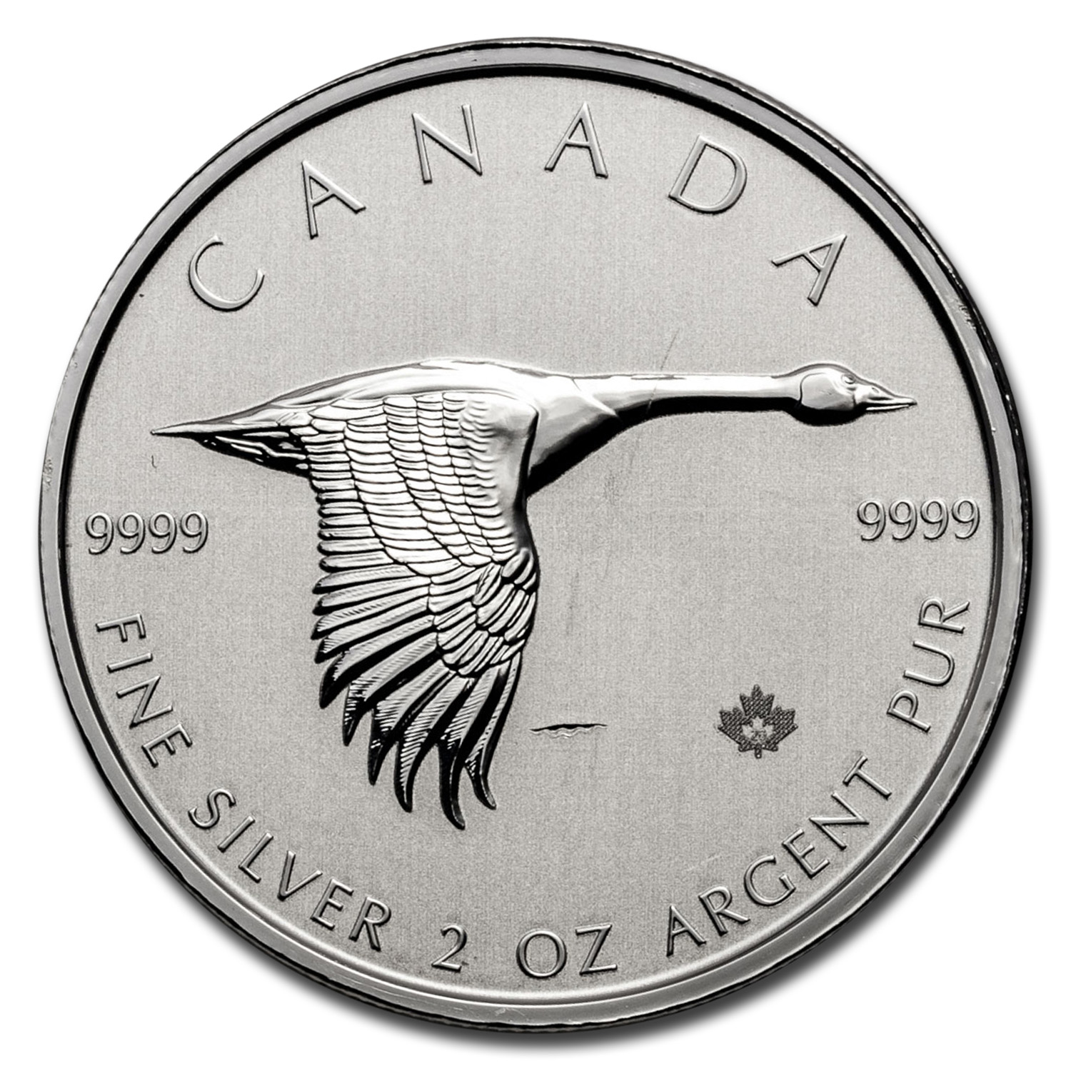 2020 canada 2 oz $10 silver canadian goose