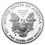 2020-S 1 oz Proof American Silver Eagle (Congratulations Set)