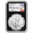 2020-W Burnished Silver Eagle MS-70 NGC (FDI, Mercanti)