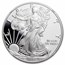 2020-W Proof American Silver Eagle PF-69 NGC