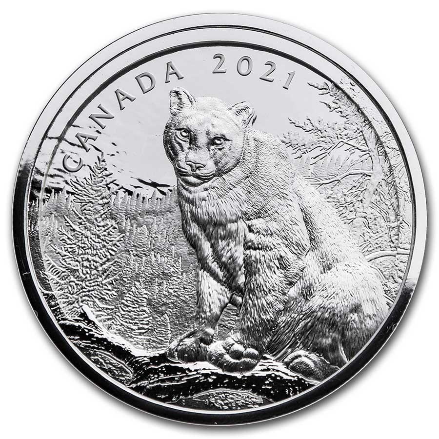 Buy 2021 Canada Silver $50 Multilayered Cougar 