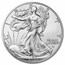 2022 American Silver Eagle MS-70 NGC (Early Release)