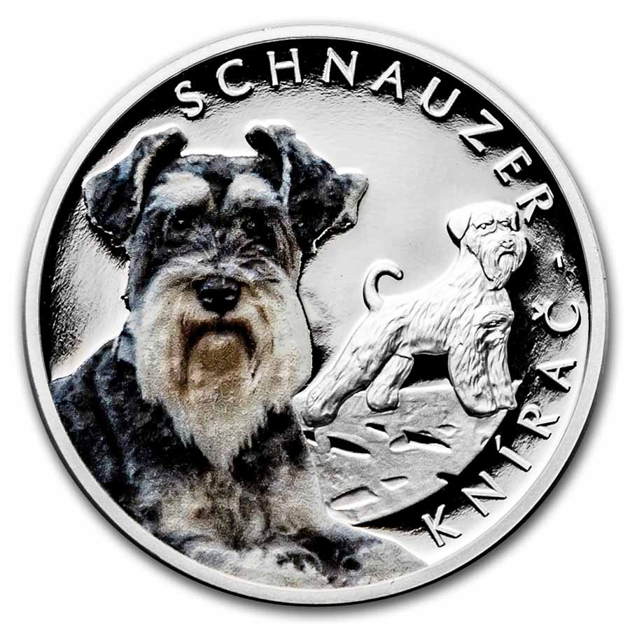 Platinum silver hot sale schnauzer