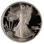 2022-S 1 oz Proof Silver Eagle PF-70 NGC