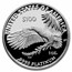 2022-W 1 oz Proof American Platinum Eagle (w/Box & COA)