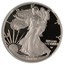 2022-W 1 oz Proof Silver Eagle PF-69 NGC