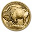 2023 1 oz Gold Buffalo MS-70 NGC (Early Release, Buffalo Label)