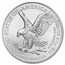 2023 1 oz Silver Eagle - Limited Edition Silver Degenerates TEP