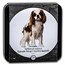 2023 Niue 1 oz Ag Proof Dog Breeds: Cavalier King Charles Spaniel