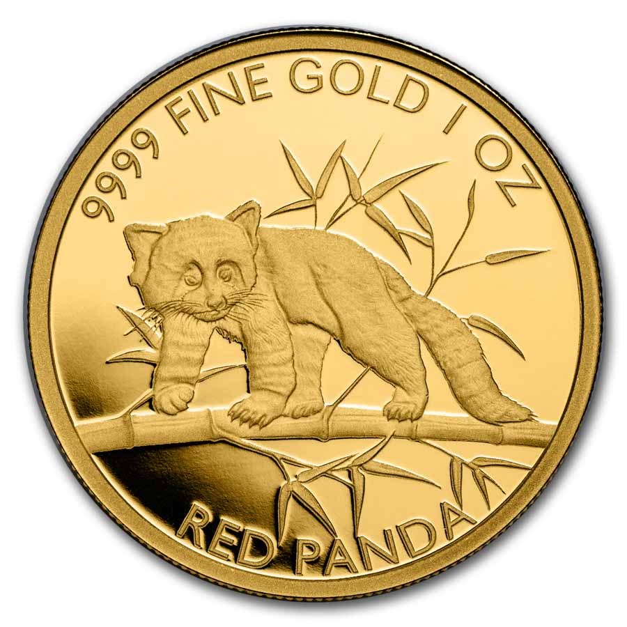 2023 Republic of Chad 1 oz Gold Red Panda