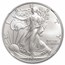 2023-W Burnished Silver Eagle MS-70 NGC