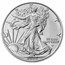 2024 1 oz American Silver Eagle (MintDirect® Single)