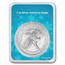 2024 1 oz American Silver Eagle - w/Snowflakes Card