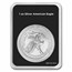 2024 1 oz Silver Eagle - w/American Flag, Black Card, In TEP