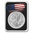 2024 1 oz Silver Eagle - w/American Flag, Black Card, In TEP