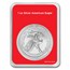 2024 1 oz Silver Eagle - w/Stars & Stripes Burst Card, In TEP