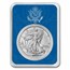 2024 1 oz Silver Eagle - w/United States Seal Card, In TEP