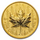 2024 Canada 1 oz Gold $200 Pulsating Maple Leaf (UHR)