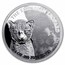 2024 Congo 3-Coin Silver Wildcats Set (with Box & CoA)