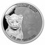 2024 Congo 3-Coin Silver Wildcats Set (with Box & CoA)