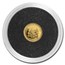 2024 Republic of Chad 1/2 gram Gold Red Panda