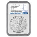 2024-W Burnished Silver Eagle MS-69 NGC (Early Releases)