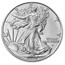 2025 1 oz American Silver Eagle (MintDirect® Single)